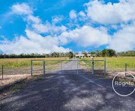 Rural / Farming commercial property for sale at Dimbulah QLD 4872