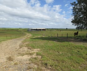 Rural / Farming commercial property sold at 267 Murdochs Road Moore Park Beach QLD 4670
