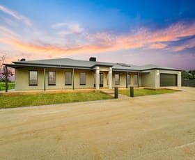 Rural / Farming commercial property sold at 18 Aerodrome Extension Road Swan Hill VIC 3585