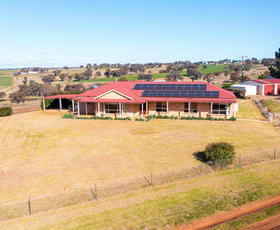 Rural / Farming commercial property sold at 940 Olympic Highway Young NSW 2594