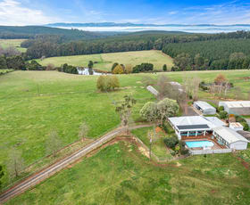 Rural / Farming commercial property sold at 1915 Strzelecki Highway Mirboo North VIC 3871