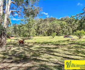 Rural / Farming commercial property sold at 890 Singleton Road Laughtondale NSW 2775