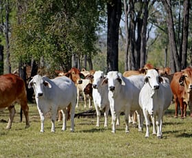 Rural / Farming commercial property sold at "MOUNTAIN HUT" COMANCHE ROAD Glenroy QLD 4702
