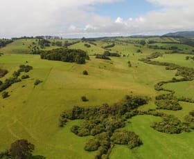 Rural / Farming commercial property sold at Dorrigo NSW 2453