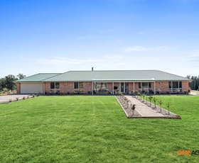 Rural / Farming commercial property for sale at 902A Mitchell Line Of Road Singleton NSW 2330
