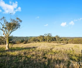 Rural / Farming commercial property sold at 345 Ironbark Road Mangrove Mountain NSW 2250