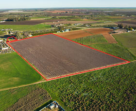 Rural / Farming commercial property sold at Blk 303 Quena Street Red Cliffs VIC 3496