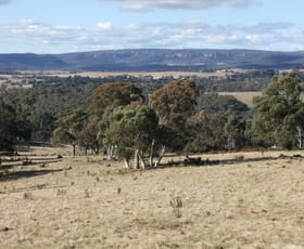Rural / Farming commercial property sold at 79 Coolamigal Road Portland NSW 2847