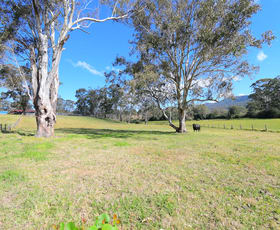 Rural / Farming commercial property sold at 526 Beaury Creek Road Urbenville NSW 2475