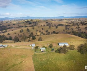 Rural / Farming commercial property for sale at 434 Peak Hill Road Buckajo NSW 2550
