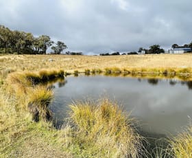 Rural / Farming commercial property for sale at 568 Airlie Stock Route Road Tamworth NSW 2340