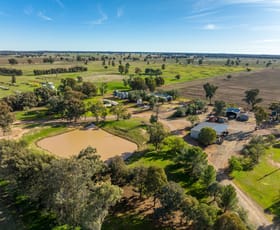 Rural / Farming commercial property sold at 'Ostenleigh Aggregation', 750 Berendebba Lane Quandialla NSW 2721