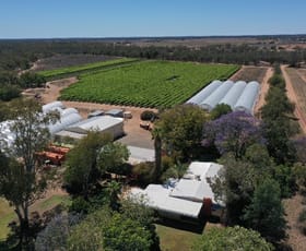 Rural / Farming commercial property sold at St George QLD 4487