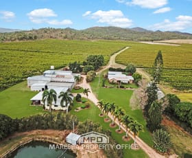 Rural / Farming commercial property for sale at 15 Minisini Road Dimbulah QLD 4872