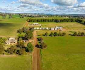 Rural / Farming commercial property sold at 'Gumleigh'/231 Barbers Road Walla Walla NSW 2659