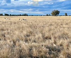 Rural / Farming commercial property sold at 1579 Forest Way Wee Waa NSW 2388