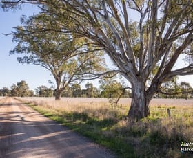 Rural / Farming commercial property sold at Lot 1 Coach Road Winton VIC 3673