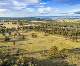 Rural / Farming commercial property sold at 495 Goodwins Lookout Road Cowra NSW 2794
