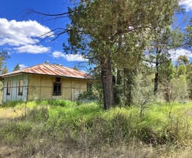 Rural / Farming commercial property for sale at 93/Groszmann Road Western Creek QLD 4357