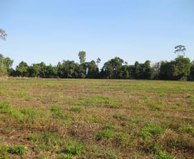 Rural / Farming commercial property sold at 55 Marron Road Lower Tully QLD 4854