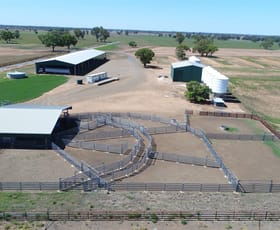 Rural / Farming commercial property for sale at 449 Willawang Road Forbes NSW 2871