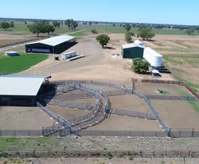 Rural / Farming commercial property for sale at 449 Willawang Road Forbes NSW 2871
