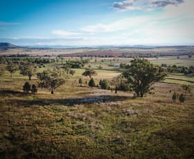 Rural / Farming commercial property sold at 1672 Kamalori Highway Quirindi NSW 2343