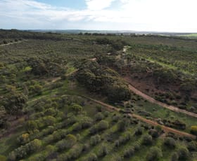 Rural / Farming commercial property sold at Lot 16721 Ewert Road Morbinning WA 6304