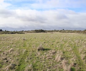 Rural / Farming commercial property for sale at . Cockerills Road Dreeite VIC 3249