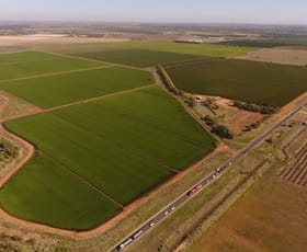 Rural / Farming commercial property sold at 10411 Kidman Way Hanwood NSW 2680