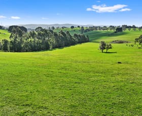 Rural / Farming commercial property sold at 122 Cazalys Road Brandy Creek VIC 3821