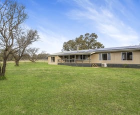 Rural / Farming commercial property sold at 1185 Packham Drive Molong NSW 2866