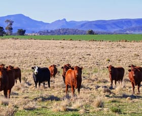 Rural / Farming commercial property sold at 851 Stoney Creek Road Narrabri NSW 2390