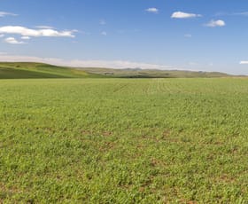 Rural / Farming commercial property sold at 'Clappys' Lot 32 Baileys Track Booborowie SA 5417