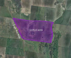 Rural / Farming commercial property for sale at Single Tree Road Massey VIC 3482