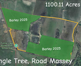 Rural / Farming commercial property for sale at Single Tree Road Massey VIC 3482