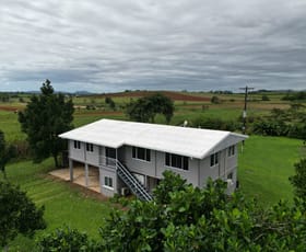 Rural / Farming commercial property for sale at 65563 BRUCE HIGHWAY Daradgee QLD 4860