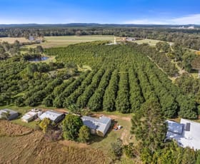 Rural / Farming commercial property for sale at Kia Ora QLD 4570