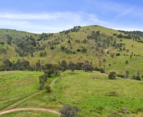 Rural / Farming commercial property sold at Sugarloaf Road Sheans Creek VIC 3666