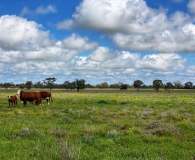 Rural / Farming commercial property sold at 'Avalon' 2134 Vermont Hill Road Condobolin NSW 2877