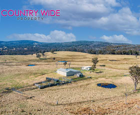 Rural / Farming commercial property for sale at 1929 New England Highway Dundee NSW 2370