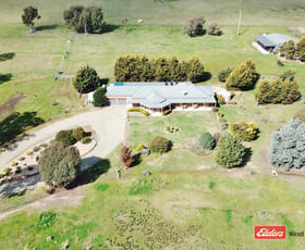 Rural / Farming commercial property sold at 1743 Mutton Falls Road O'connell NSW 2795