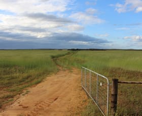 Rural / Farming commercial property sold at 570 Ridgway Road Lameroo SA 5302