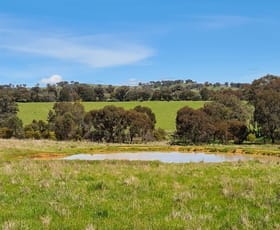 Rural / Farming commercial property sold at Dropshot Keajura Road Tarcutta NSW 2652