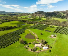 Rural / Farming commercial property sold at 152 Wilkinsons Lane Euroa VIC 3666
