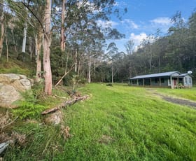 Rural / Farming commercial property for sale at 1026 Watagan Creek Road Laguna NSW 2325