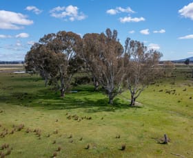 Rural / Farming commercial property sold at 145 Alexanders Lane Docker VIC 3678