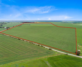 Rural / Farming commercial property sold at 25/ Prior Road Julia SA 5374