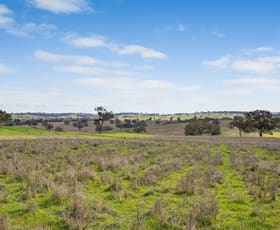 Rural / Farming commercial property sold at 6068 Mitchell Highway Molong NSW 2866