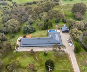 Rural / Farming commercial property sold at 75 Mcgilp Road One Tree Hill SA 5114